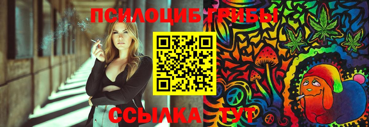 Галлюциногенные грибы MAGIC MUSHROOMS  продажа наркотиков  Галлюциногенные грибы Cubensis  Холмск  Вход с VPN 