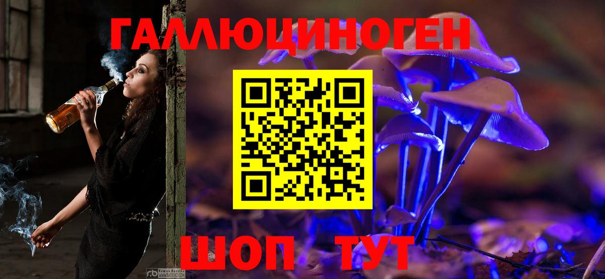 Псилоцибиновые грибы мухоморы Холмск